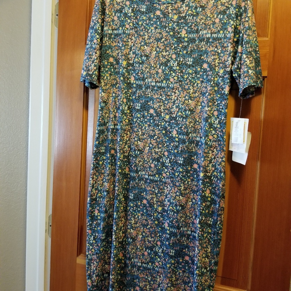 LuLaRoe NWT Julia Dress